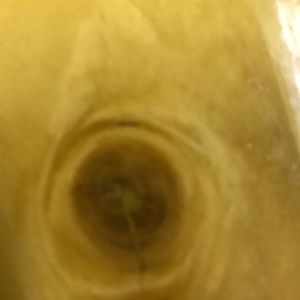 Meet your Posher, Asha